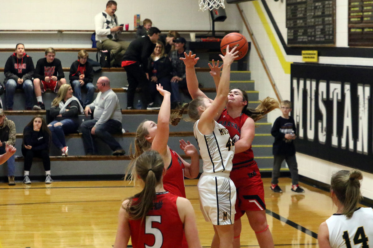 McCool BB vs Harvard (12).jpg